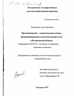Организационно-экономические основы функционирования и развития рынка ягод в Костромской области - тема диссертации по экономике, скачайте бесплатно в экономической библиотеке