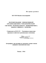 Формирование эффективной организационно-управленческой системы регионального инжиниринга депрессивного региона - тема автореферата по экономике, скачайте бесплатно автореферат диссертации в экономической библиотеке