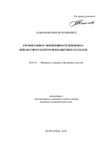 Организация и эффективность внешнего финансового контроля бюджетных расходов - тема автореферата по экономике, скачайте бесплатно автореферат диссертации в экономической библиотеке