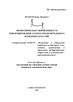 Экономическая эффективность реформирования газораспределительного комплекса России - тема автореферата по экономике, скачайте бесплатно автореферат диссертации в экономической библиотеке