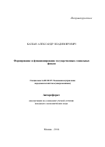 Формирование и функционирование государственных социальных фондов - тема автореферата по экономике, скачайте бесплатно автореферат диссертации в экономической библиотеке