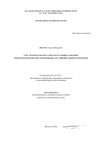 Учет экологического фактора в рамках системы макроэкономической информации - тема автореферата по экономике, скачайте бесплатно автореферат диссертации в экономической библиотеке