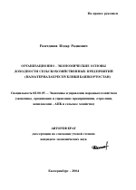 Организационно-экономические основы доходности сельскохозяйственных предприятий - тема автореферата по экономике, скачайте бесплатно автореферат диссертации в экономической библиотеке