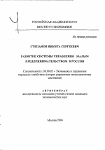 Развитие системы управления малым предпринимательством в России - тема автореферата по экономике, скачайте бесплатно автореферат диссертации в экономической библиотеке