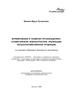 Формирование и развитие организационно-хозяйственной инфраструктуры реализации сельскохозяйственной продукции - тема автореферата по экономике, скачайте бесплатно автореферат диссертации в экономической библиотеке
