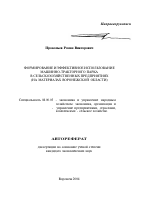 Формирование и эффективное использование машинно-тракторного парка в сельскохозяйственных предприятиях - тема автореферата по экономике, скачайте бесплатно автореферат диссертации в экономической библиотеке