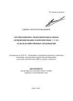 Организационно-экономические аспекты функционирования маркетинговых служб сельскохозяйственных предприятий - тема автореферата по экономике, скачайте бесплатно автореферат диссертации в экономической библиотеке