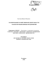 Планирование хозяйственной деятельности малых промышленных предприятий - тема автореферата по экономике, скачайте бесплатно автореферат диссертации в экономической библиотеке