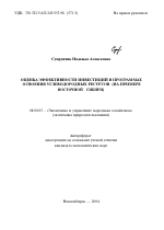 Оценка эффективности инвестиций в программах освоения углеводородных ресурсов - тема автореферата по экономике, скачайте бесплатно автореферат диссертации в экономической библиотеке