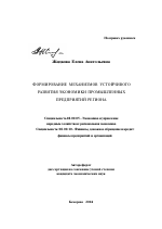 Формирование механизмов устойчивого развития экономики промышленных предприятий региона - тема автореферата по экономике, скачайте бесплатно автореферат диссертации в экономической библиотеке