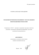 Управление крупными компаниями с использованием информационных технологий - тема автореферата по экономике, скачайте бесплатно автореферат диссертации в экономической библиотеке