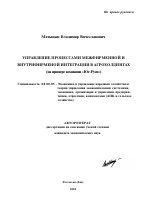 Управление процессами межфирменной и внутрифирменной интеграции в агрохолдингах - тема автореферата по экономике, скачайте бесплатно автореферат диссертации в экономической библиотеке