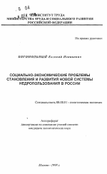 Социально-экономические проблемы становления и развития новой системы недропользования в России - тема автореферата по экономике, скачайте бесплатно автореферат диссертации в экономической библиотеке