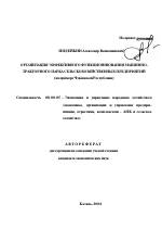 Организация эффективного функционирования машинно-тракторного парка сельскохозяйственных предприятий - тема автореферата по экономике, скачайте бесплатно автореферат диссертации в экономической библиотеке