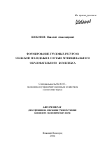 Формирование трудовых ресурсов сельской молодежи в составе муниципального образовательного комплекса - тема автореферата по экономике, скачайте бесплатно автореферат диссертации в экономической библиотеке