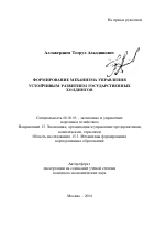 Формирование механизма управления устойчивым развитием государственных холдингов - тема автореферата по экономике, скачайте бесплатно автореферат диссертации в экономической библиотеке