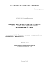 Формирование системы оценки деятельности вузов в быстроменяющихся внешних экономических условиях - тема автореферата по экономике, скачайте бесплатно автореферат диссертации в экономической библиотеке