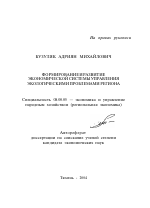 Формирование и развитие экономической системы управления экологическими проблемами региона - тема автореферата по экономике, скачайте бесплатно автореферат диссертации в экономической библиотеке