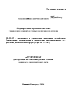 Формирование и развитие системы управления социокультурным комплексом региона - тема автореферата по экономике, скачайте бесплатно автореферат диссертации в экономической библиотеке
