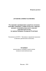 Регулирование трансформации и разработка механизма адаптации к рыночным условиям подсистемы социально-трудовых отношений региональной социально-экономической системы - тема автореферата по экономике, скачайте бесплатно автореферат диссертации в экономической библиотеке