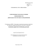 Современные подходы к оценке эффективности деятельности торгового предприятия - тема автореферата по экономике, скачайте бесплатно автореферат диссертации в экономической библиотеке