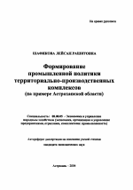 Формирование промышленной политики территориально-производственных комплексов - тема автореферата по экономике, скачайте бесплатно автореферат диссертации в экономической библиотеке