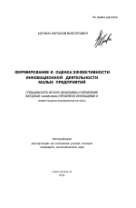 Формирование и оценка эффективности инновационной деятельности малых предприятий - тема автореферата по экономике, скачайте бесплатно автореферат диссертации в экономической библиотеке