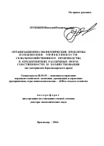 Организационно-экономические проблемы повышения эффективности сельскохозяйственного производства в предприятиях различных форм собственности и хозяйствования - тема автореферата по экономике, скачайте бесплатно автореферат диссертации в экономической библиотеке