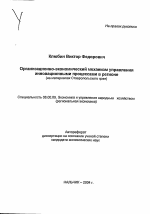 Организационно-экономический механизм управления инновационными процессами в регионе - тема автореферата по экономике, скачайте бесплатно автореферат диссертации в экономической библиотеке