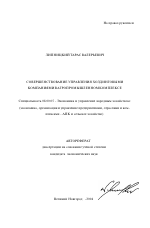 Совершенствование управления холдинговыми компаниями в агропромышленном комплексе - тема автореферата по экономике, скачайте бесплатно автореферат диссертации в экономической библиотеке