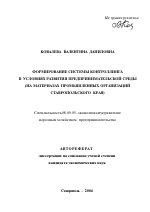 Формирование системы контроллинга в условиях развития предпринимательской среды - тема автореферата по экономике, скачайте бесплатно автореферат диссертации в экономической библиотеке