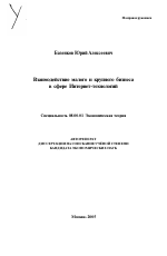 Взаимодействие малого и крупного бизнеса в сфере Интернет-технологий - тема автореферата по экономике, скачайте бесплатно автореферат диссертации в экономической библиотеке