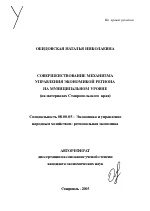 Совершенствование механизма управления экономикой региона на муниципальном уровне - тема автореферата по экономике, скачайте бесплатно автореферат диссертации в экономической библиотеке