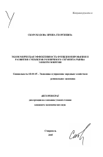 Экономическая эффективность функционирования и развития субъектов розничного сегмента рынка электроэнергии - тема автореферата по экономике, скачайте бесплатно автореферат диссертации в экономической библиотеке