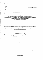 Организационно-экономические аспекты материально-технического обеспечения предприятий по ремонту бытовой техники - тема автореферата по экономике, скачайте бесплатно автореферат диссертации в экономической библиотеке