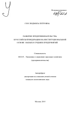 Развитие предпринимательства в Российской Федерации на институциональной основе малых и средних предприятий - тема автореферата по экономике, скачайте бесплатно автореферат диссертации в экономической библиотеке