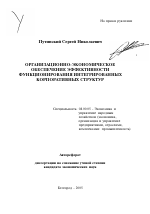 Организационно-экономическое обеспечение эффективности функционирования интегрированных корпоративных структур - тема автореферата по экономике, скачайте бесплатно автореферат диссертации в экономической библиотеке