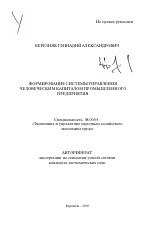 Формирование системы управления человеческим капиталом промышленного предприятия - тема автореферата по экономике, скачайте бесплатно автореферат диссертации в экономической библиотеке