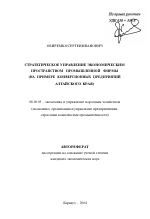 Стратегическое управление экономическим пространством промышленной фирмы - тема автореферата по экономике, скачайте бесплатно автореферат диссертации в экономической библиотеке