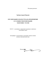 Регулирование оплаты труда на предприятиях в условиях реформирования экономики России - тема автореферата по экономике, скачайте бесплатно автореферат диссертации в экономической библиотеке
