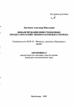 Финансирование инвестиционных процессов в хозяйственном комплексе региона - тема автореферата по экономике, скачайте бесплатно автореферат диссертации в экономической библиотеке