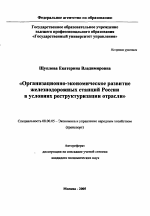 Организационно-экономическое развитие железнодорожных станций России в условиях реструктуризации отрасли - тема автореферата по экономике, скачайте бесплатно автореферат диссертации в экономической библиотеке