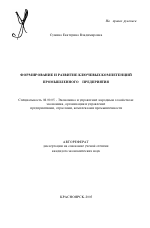 Формирование и развитие ключевых компетенций промышленного предприятия - тема автореферата по экономике, скачайте бесплатно автореферат диссертации в экономической библиотеке
