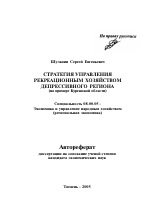 Стратегия управления рекреационным хозяйством депрессивного региона - тема автореферата по экономике, скачайте бесплатно автореферат диссертации в экономической библиотеке