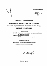 Формирование и развитие условий организационно-управленческого труда в новой экономике - тема автореферата по экономике, скачайте бесплатно автореферат диссертации в экономической библиотеке