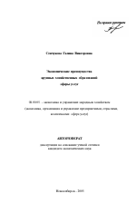 Экономические преимущества крупных хозяйственных образований сферы услуг - тема автореферата по экономике, скачайте бесплатно автореферат диссертации в экономической библиотеке