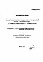 Оценка перспектив технического развития предприятий малого и среднего бизнеса - тема автореферата по экономике, скачайте бесплатно автореферат диссертации в экономической библиотеке