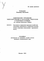 Комплексное управление энергосистемами и каскадами гидроузлов в рыночных условиях - тема автореферата по экономике, скачайте бесплатно автореферат диссертации в экономической библиотеке