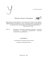 Функциональные формы и методические основы мониторинга эффективности развития малых промышленных предприятий - тема автореферата по экономике, скачайте бесплатно автореферат диссертации в экономической библиотеке