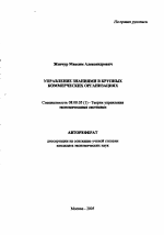 Управление знаниями в крупных коммерческих организациях - тема автореферата по экономике, скачайте бесплатно автореферат диссертации в экономической библиотеке